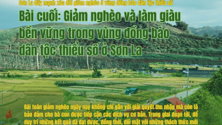 Bài cuối: Giảm nghèo và làm giàu bền vững trong vùng đồng bào dân tộc thiểu số ở Sơn La