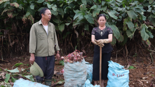 Bài 1: Những “cầu nối” tại bản, làng vùng cao