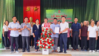 Hỗ trợ nông dân bảo vệ môi trường hiệu quả, bền vững, lâu dài