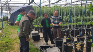 Lâm Đồng, tiếp tục xây dựng và nhân rộng mô hình xã Nông thôn mới thông minh và thí điểm xã thương mại điện tử