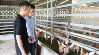 Hà Tĩnh: Hiệu quả “nhìn thấy được” từ những mô hình kinh tế tập thể