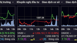 Thị trường chứng khoán có cú đảo chiều ngoạn mục