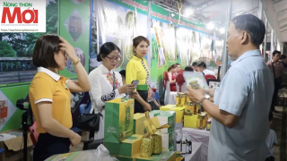 Bắc Kạn phát triển sản phẩm OCOP từ nông nghiệp sạch