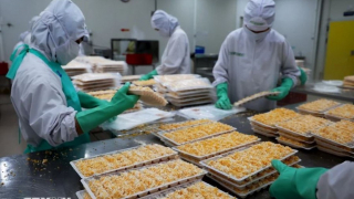 Dự báo quan hệ thương mại Việt Nam-Hoa Kỳ trong bối cảnh mới 