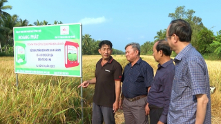 Phân bón Văn Điển gia tăng giá trị cho nông sản và tăng thu nhập cho nông dân