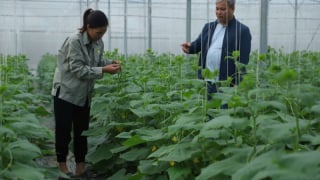 Hải Dương: \'Đòn bẩy\' giúp phát triển sản xuất nông nghiệp công nghệ cao