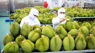 Hoa quả tươi Việt Nam có cơ hội xuất khẩu thị trường Thụy Điển