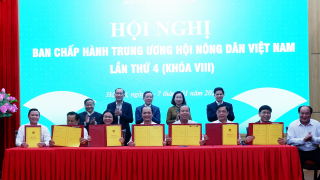 Các cấp Hội tập trung, quyết tâm thực hiện hiệu quả 5 nhiệm vụ trọng tâm năm 2025