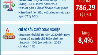 Việt Nam xuất siêu năm thứ 9 liên tục, mức thặng dư gần 25 tỷ USD