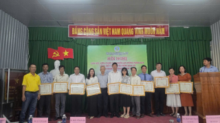 Viện Lúa ĐBSCL lai tạo hàng trăm giống lúa chất lượng cao cho khu vực