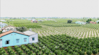 Phát huy vai trò của đảng viên cao niên trong xây dựng nông thôn mới
