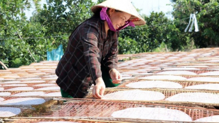 Làng nghề bánh tráng Mỹ Lồng (Bến Tre) hối hả vào Xuân
