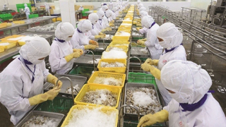 Thị trường và giải pháp phát triển chuỗi cung ứng nông sản xuất khẩu