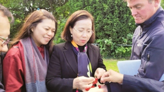 “Công nghệ giúp nông nghiệp Hà Lan đạt tổng giá trị xuất khẩu hơn 123 tỷ Euro mỗi năm”