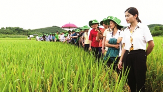 Một số đề xuất về quan điểm, chủ trương nhằm nâng cao vị thế của nông dân Việt Nam khi bước vào kỷ nguyên mới