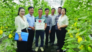 Giúp nông dân vượt khó, khôi phục sản xuất