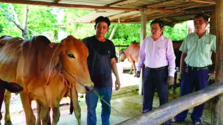 Nhiều hoạt động thiết thực, trọng tâm giúp nông dân thoát nghèo