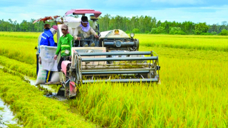 Khơi dậy và phát huy sức sáng tạo của nông dân Việt Nam