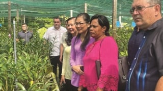 Sức sống mới của nông dân thành phố trước thềm năm mới 2025