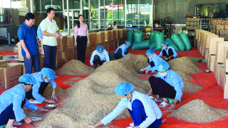 Chào đón Xuân mới sau một năm nhiều thành công