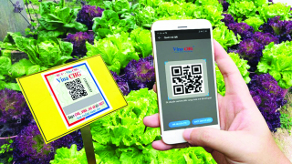 Một số nhiệm vụ và giải pháp xây dựng hệ thống truy xuất nguồn gốc sản phẩm nông nghiệp