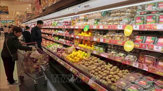 Giá cả ngày đầu năm mới Ất Tỵ ổn định