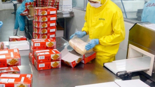 Thị trường lao động 2025: Cơ hội và thách thức đan xen