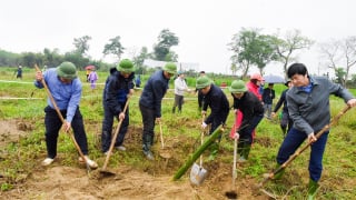 Vì tương lai xanh, nông dân Nghệ An sôi nổi phong trào Tết trồng cây