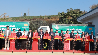 Thêm một đặc sản Sơn La được phục vụ trên các chuyến bay của Vietnam Airlines