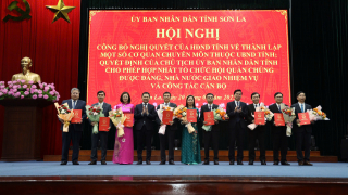 Sơn La: Thành lập một số cơ quan chuyên môn thuộc UBND tỉnh và cho phép hợp nhất tổ chức hội quần chúng