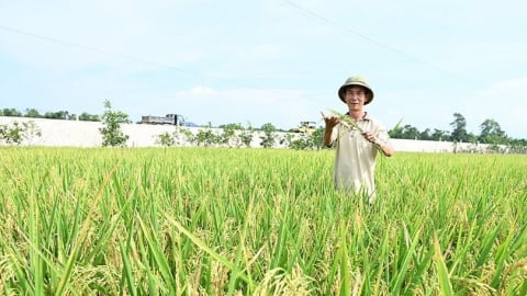 Nghị quyết 57 là đòn bẩy chuyển đổi số ngành nông nghiệp