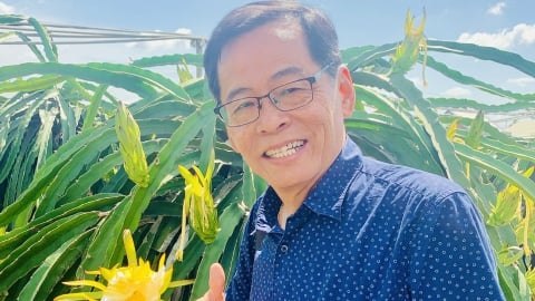 'Tôi muốn đem món quà cho Việt Nam trong những năm cuối đời': Câu chuyện vị tiến sĩ Singapore và đam mê hồi sinh đất