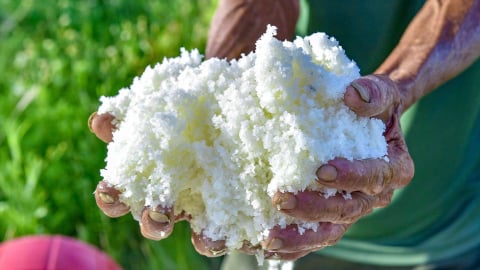 Nghề kỳ lạ ở Thanh Hóa: Nơi người dân cầu cho trời nắng to