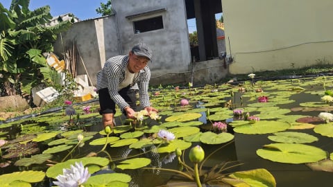 Không dừng lại ở 'kiểu mẫu': Gò Nổi và tham vọng xây dựng mô hình nông thôn mới 'hiện đại'