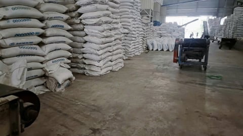 Tiến độ thu hồi 10 giấy chứng nhận kinh doanh xuất khẩu gạo