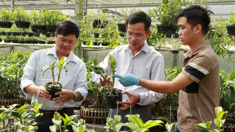 Không chỉ có chè và cà phê: 'Tơ lụa, măng cụt, hoa lan' sẽ đưa kinh tế Bảo Lộc cất cánh