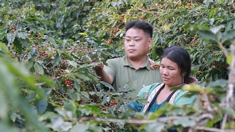 Câu chuyện cổ tích ở Tát Hẹ: Biến đồi trọc thành 'vàng xanh', 100% học sinh đến trường