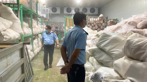 Kinh hoàng kho thịt lợn 100 tấn: Trữ hàng hôi thối chờ hết dịch tả lợn châu Phi để tuồn ra thị trường