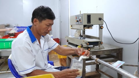 Quảng Trị: Trưởng thôn 'mát tay', biến con sứa biển rẻ như cho thành đặc sản OCOP thu tiền tỷ