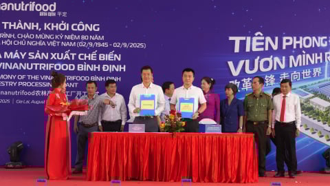 Gia Lai trải thảm đỏ: Loạt KCN, CCN mới với vốn đầu tư hàng nghìn tỷ đồng đồng loạt khởi công