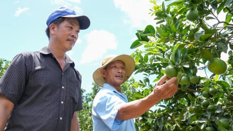 Từ 'đất lửa' Thượng Đức đến khát vọng giảm nghèo: Lấy hạ tầng và nông nghiệp công nghệ cao làm đòn bẩy