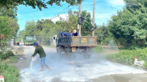 Quảng Trị: Dịch tả lợn châu Phi bùng phát, gần 55.000 con lợn bị tiêu hủy