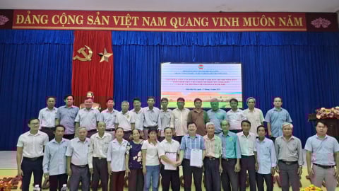 Đà Nẵng: Đa dạng các nguồn lực hỗ trợ cho nông dân Điện Bàn Tây sản xuất, phát triển kinh tế