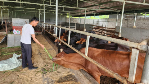 Từ Giàng A Súa đến Lò Thị Mai: Những câu chuyện đổi đời ngoạn mục ở vùng cao