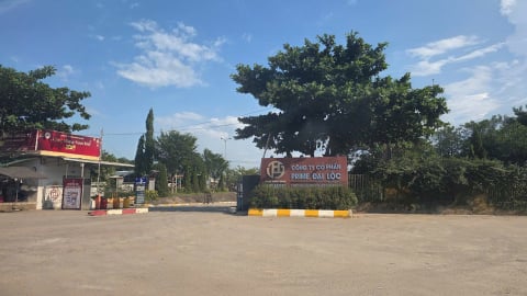 Hà Nha sau sáp nhập: Tham vọng trở thành xã NTM nâng cao với tăng trưởng 15%/năm