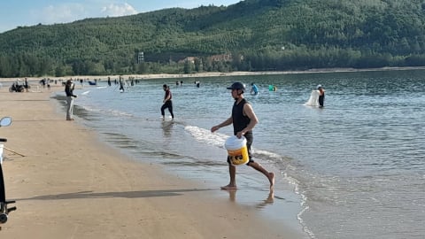 Quảng Trị gọi mùa ruốc về: 'Hồng' cả bãi biển, 'ấm' cả túi tiền ngư dân Phú Trạch