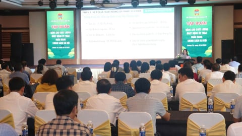 Hội Nông dân Quảng Trị: Dư nợ ủy thác đạt 4.121 tỷ đồng, gần 52.000 hội viên được vay vốn