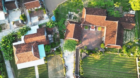 Cuối năm nay, Gia Lai sẽ có khoảng 850 HTX với hơn 300.000 thành viên, doanh thu mỗi HTX đạt 3,4 tỷ đồng/năm