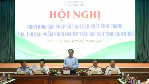Bình Định: Tìm giải pháp hỗ trợ doanh nghiệp và nông dân ổn định sản xuất, kinh doanh