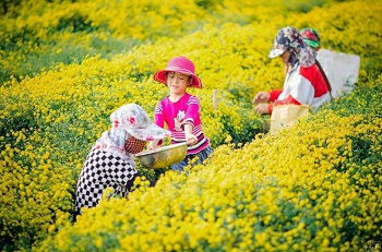 Hưng Yên: Phát triển du lịch nông thôn gắn với các làng nghề truyền thống